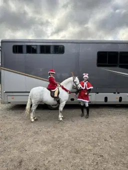 Christmas Showing Show