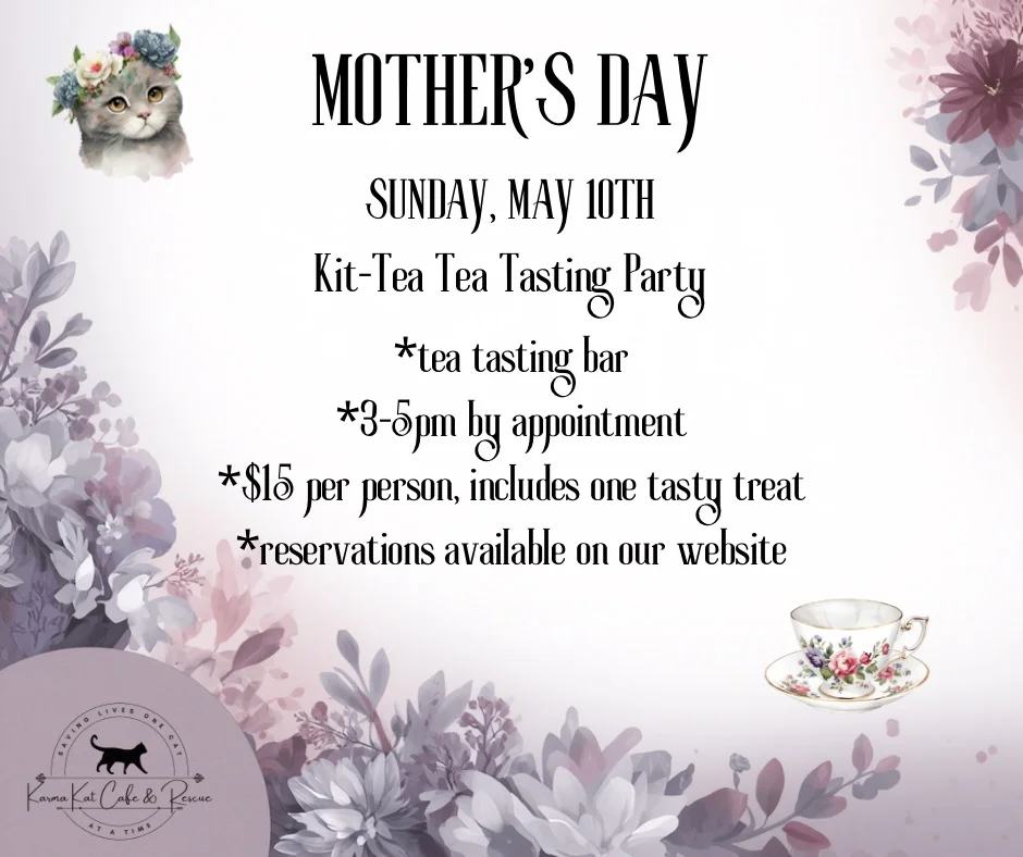 Mother’s Day Kit-tea tea tasting party
