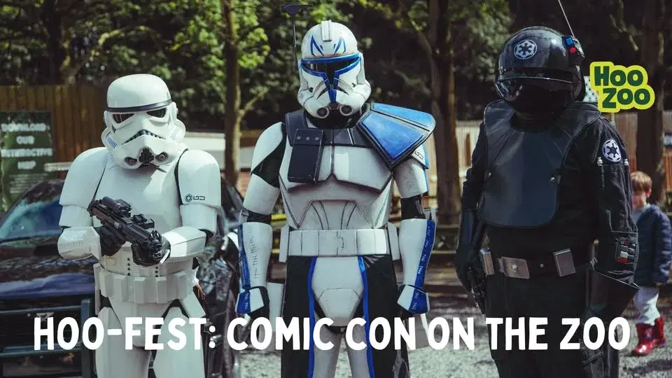 Hoo-Fest: Comic-Con on the Zoo