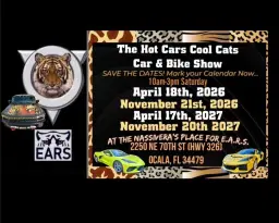 Hot Cars Cool Cats