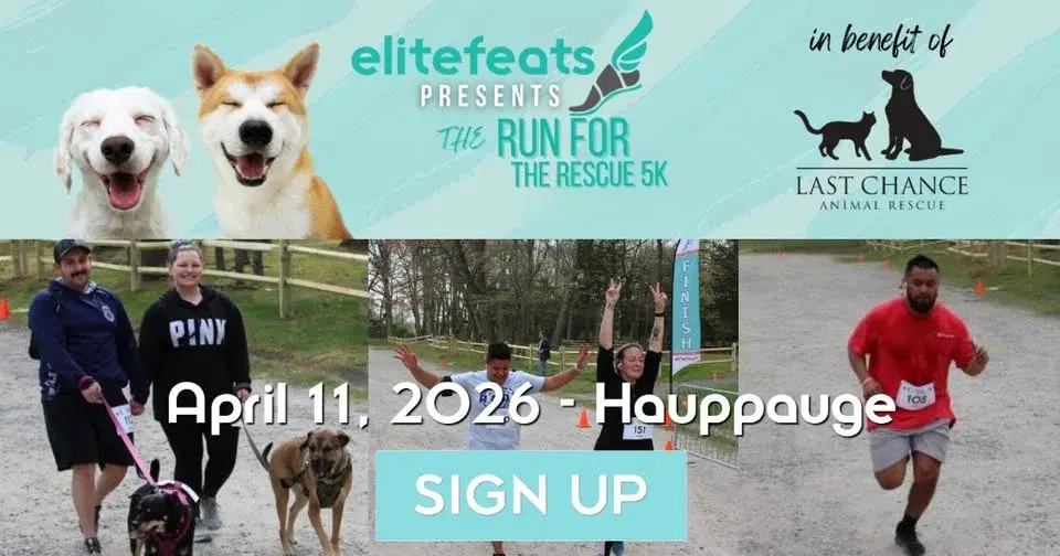 Run for the Rescue 5K Trail Run/Walk