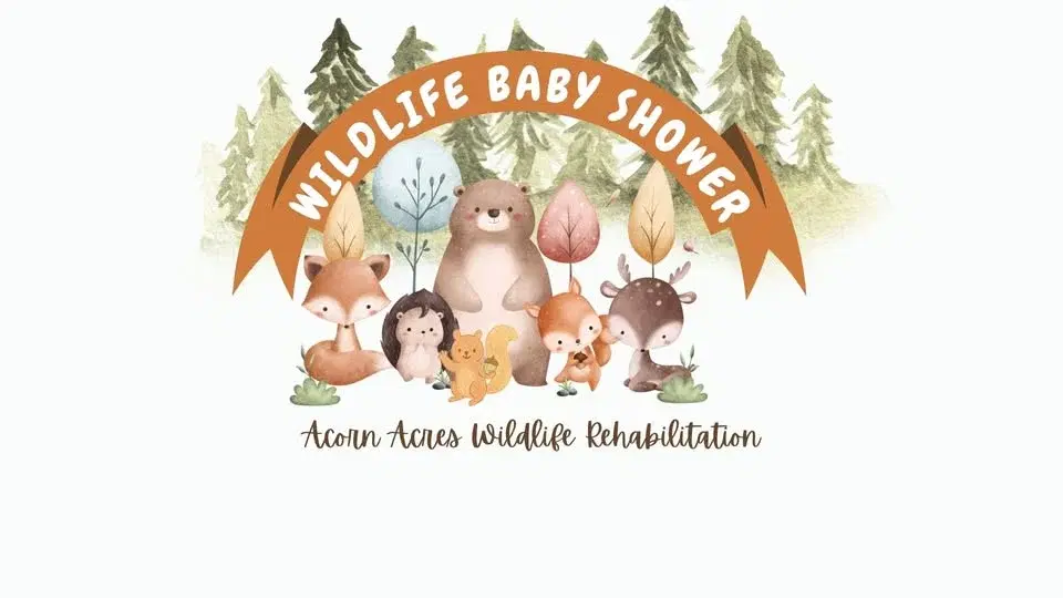 Wildlife Baby Shower at Acorn Acres Wildlife Rehabilitation