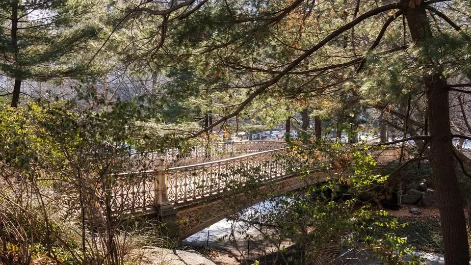 Central Park in Winter Photowalk | Hosted by Sony