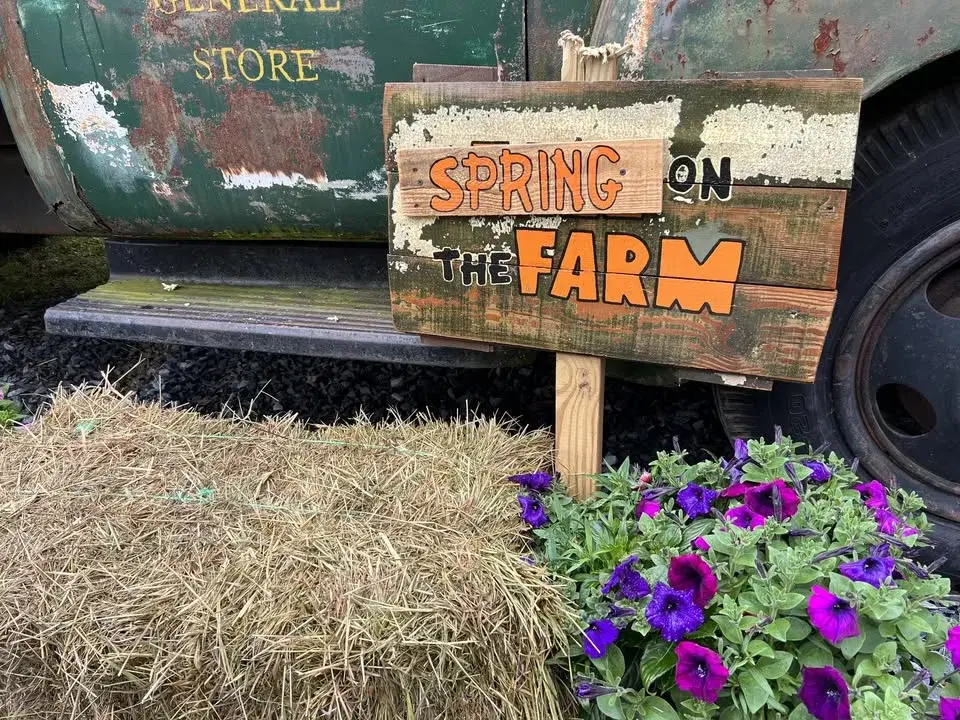 Open Farm Day- Spring Edition