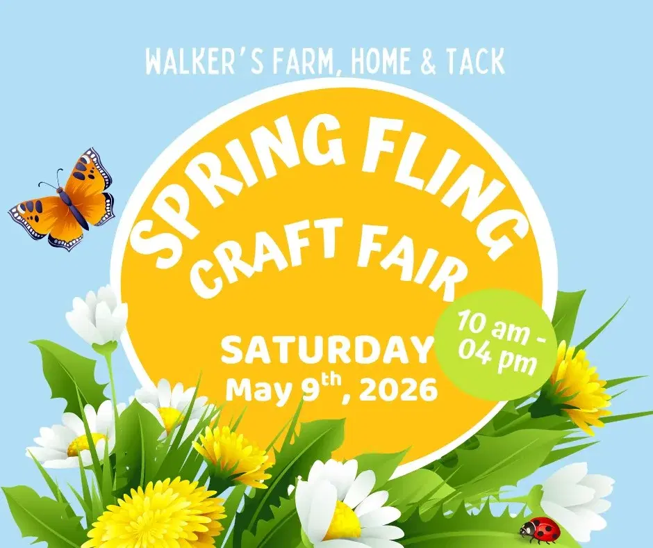 Spring Fling Craft Fair!