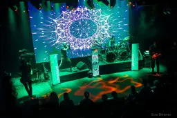 THE PERFECT TOOL | LOGO Hamburg