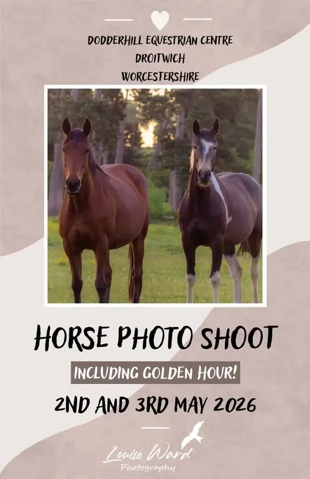 Horse photos shoot with louise ward photography