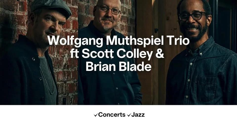 Wolfgang Muthspiel Trio ft Scott Colley & Brian Blade