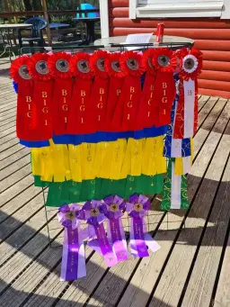 Inofficiell utställning på Lerums BK 2026