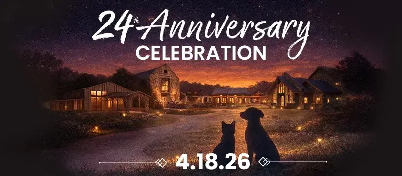 Furkids' 24th Anniversary Celebration