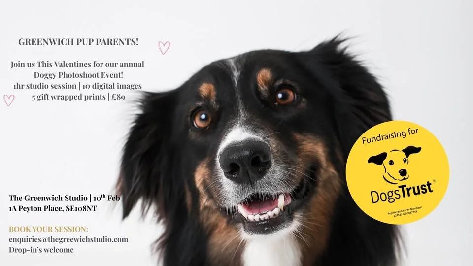 Greenwich Doggy Portrait Event - Supporting Dogs Trust