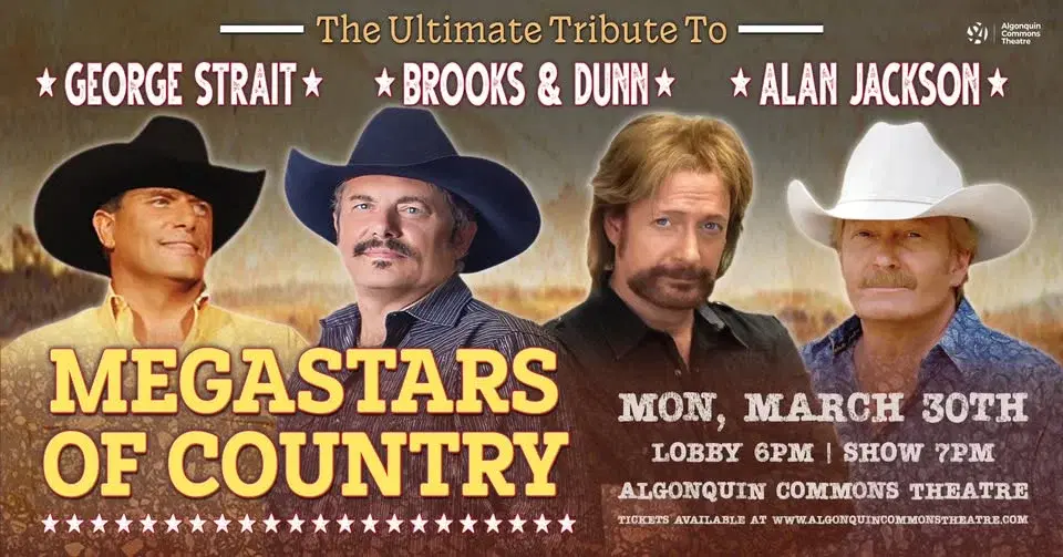 Megastars of Country Music
