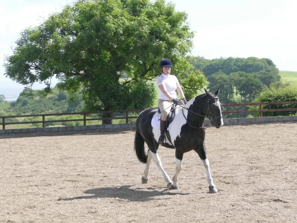 Dressage Series 5 - August 2026