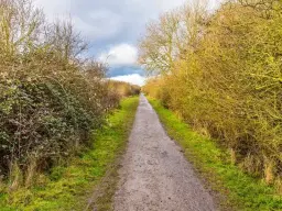 The Brampton Valley Bash 2026