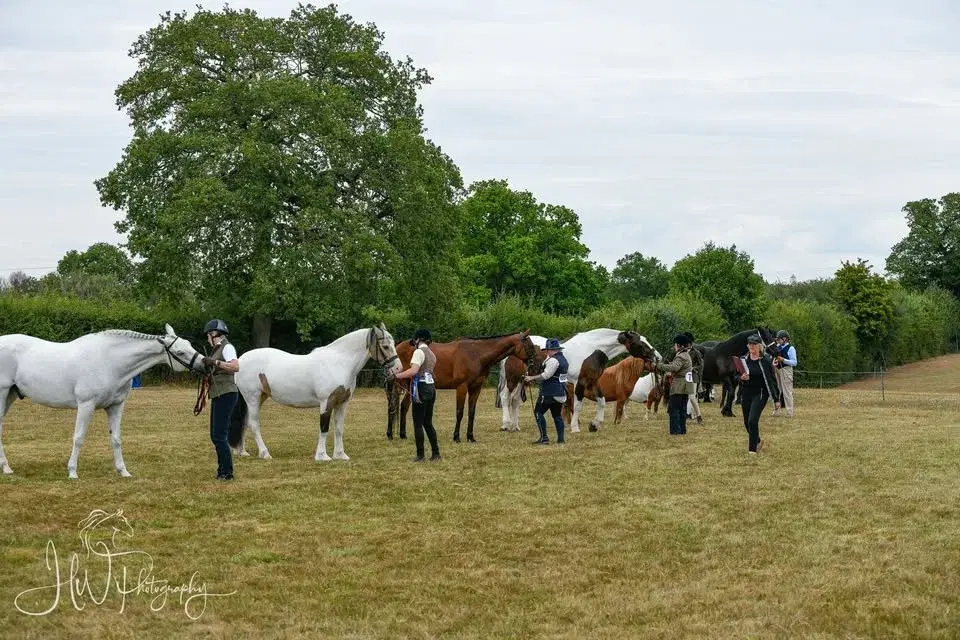 NWSC - Ossie Ward Showing Show