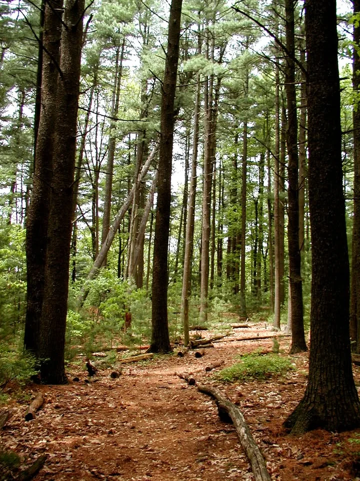 Powder Mill Ledges Hike