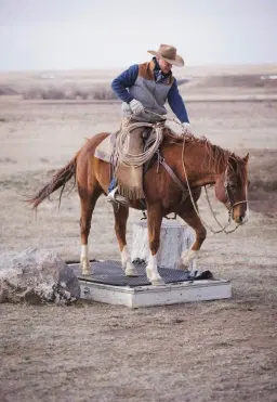Jim Anderson 6- day clinic @ DBA