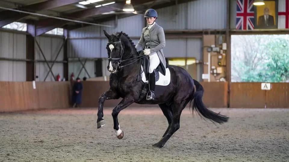 Dressage training with Daniel Timson