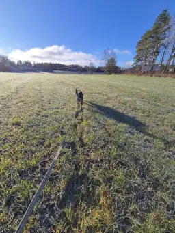 BBK´s Klubbläger 2026