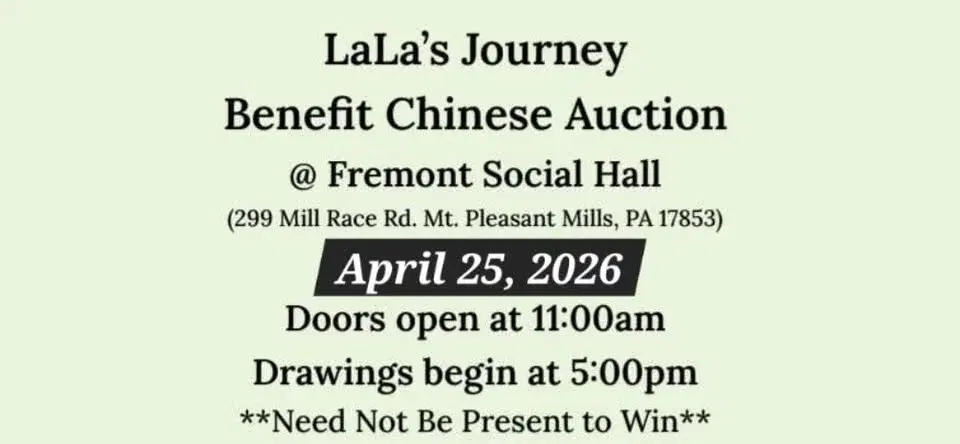 Chinese Auction Benefit 2026 by LaLas Journey