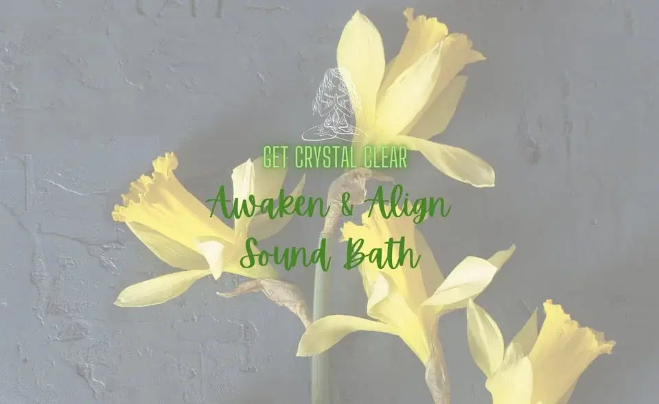 đŒAwaken & Align Sound BathđŒ