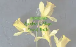 đŒAwaken & Align Sound BathđŒ