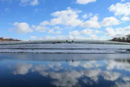 Spirits, Cheers and Beers