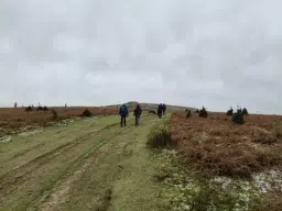 Cwmcarn Forest and Twmbarlum Hill Fort