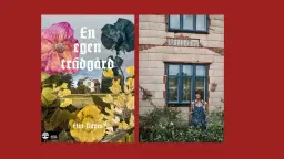 Boksalong med Elin Unnes