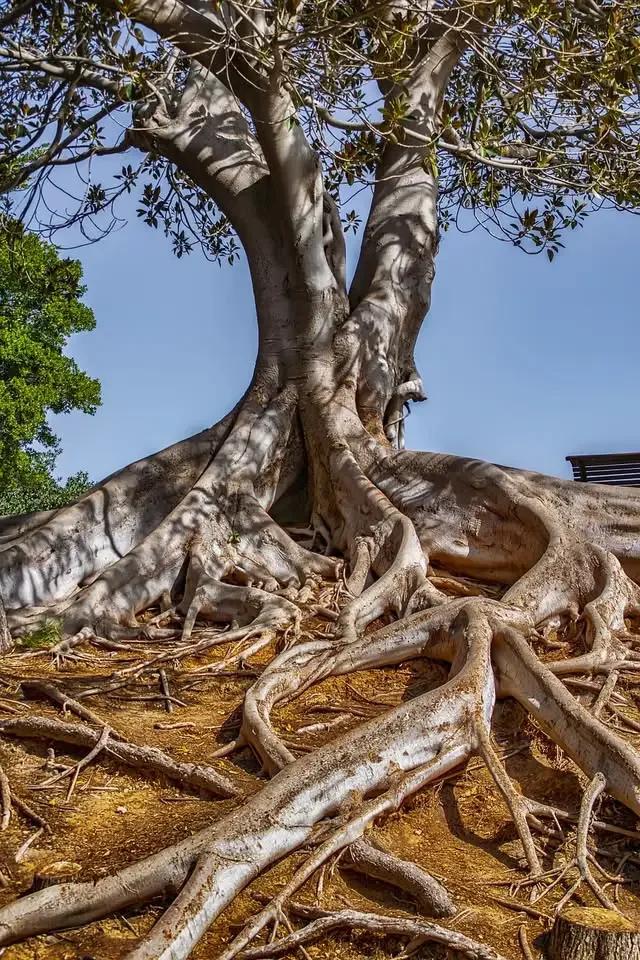 Andlig Praktik: start 27 januari 2026