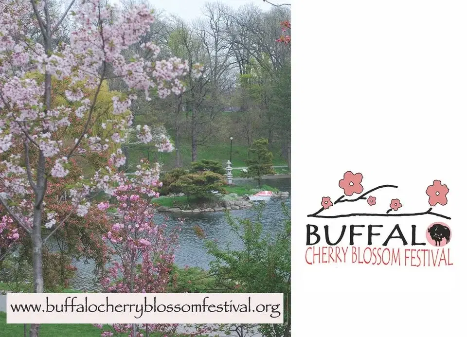 13th Annual Buffalo Cherry Blossom Festival