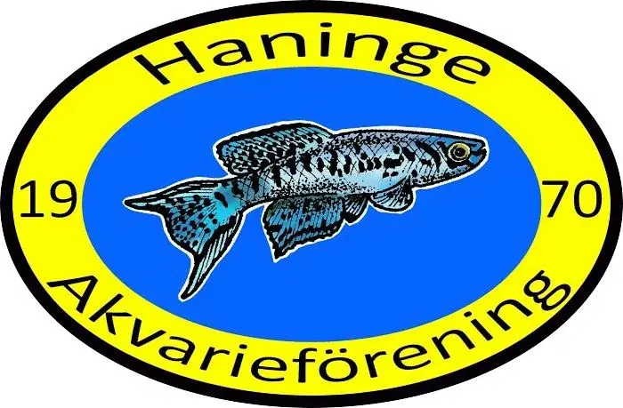 Haninge akvarieförenings akvarieloppis
