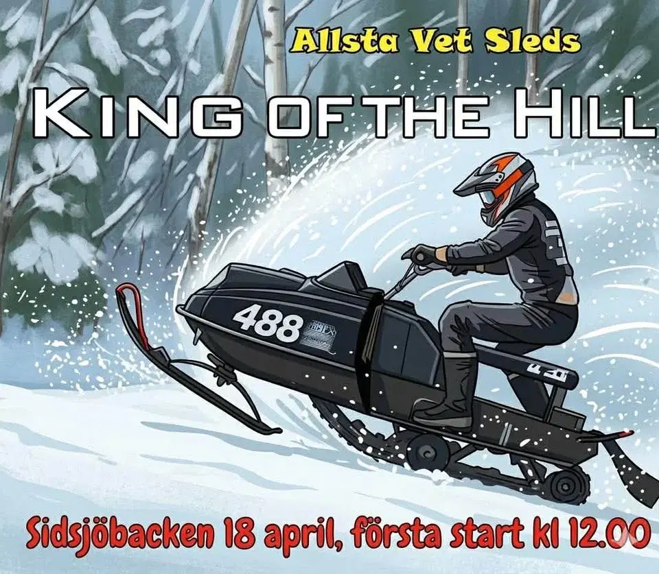 King of the hill 2026