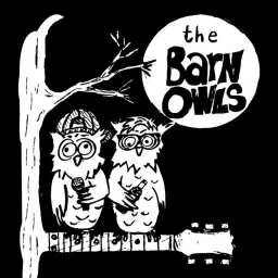Barn Owls