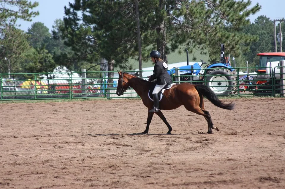 Horse Show by Chequamegon EZ Riders