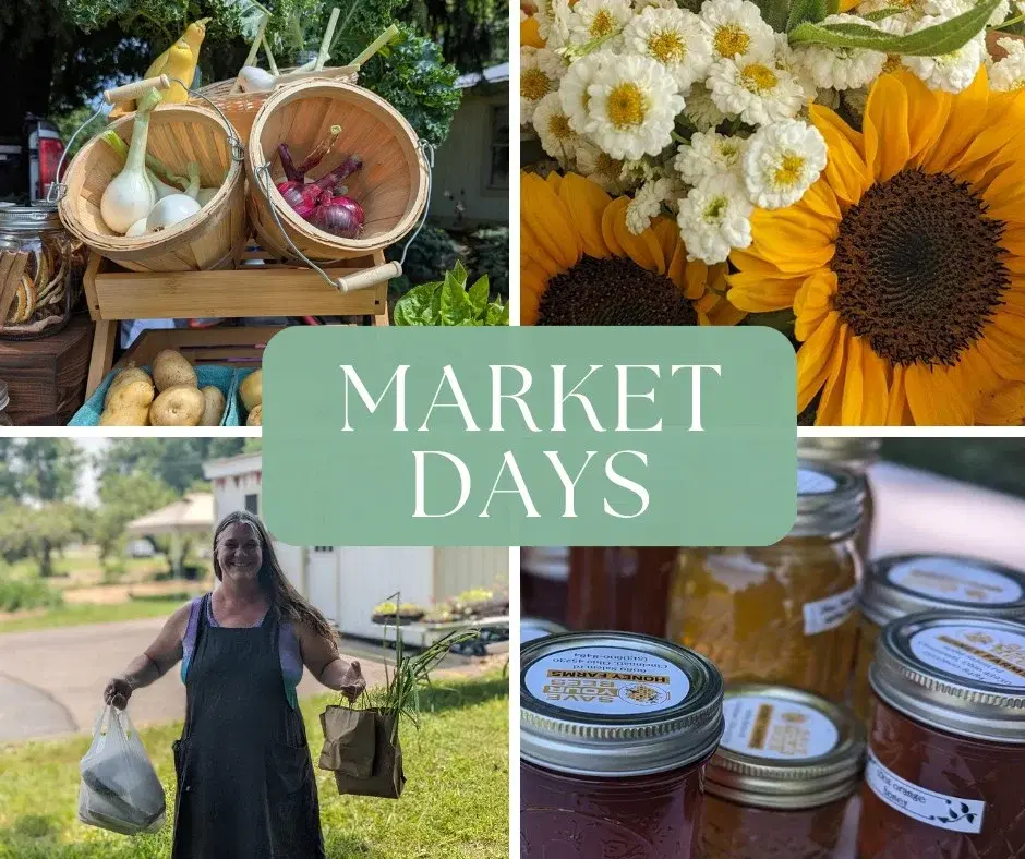 Market Days at Gracious Farm