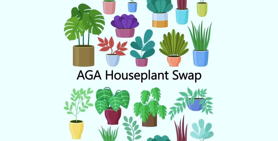 Houseplant Swap and BINGO AGA