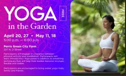 Yoga in the Garden