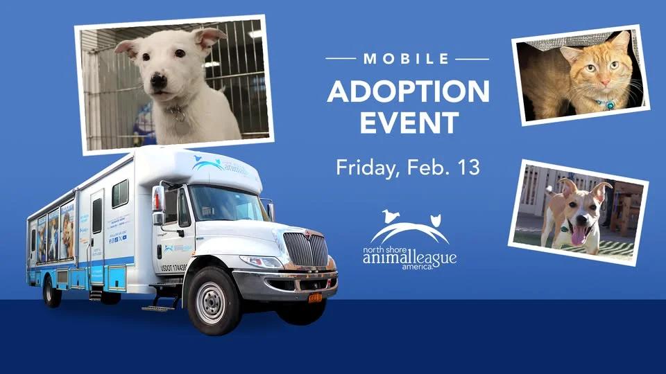 Mobile Pet Adoption Event! Meet Adoptable Dogs, Cats, Puppies, & Kittens
