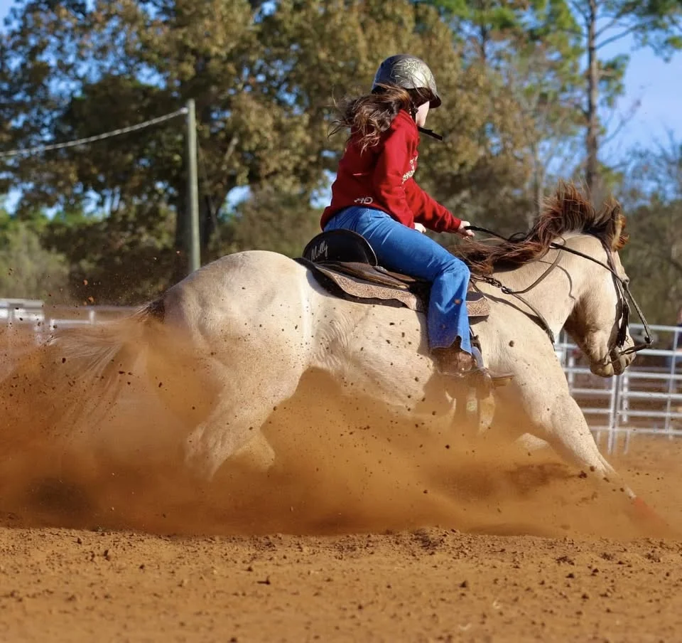 GA05 NBHA District Show Minimum $1000 Added - Butler, GA *NEW OUTDOOR ARENA*