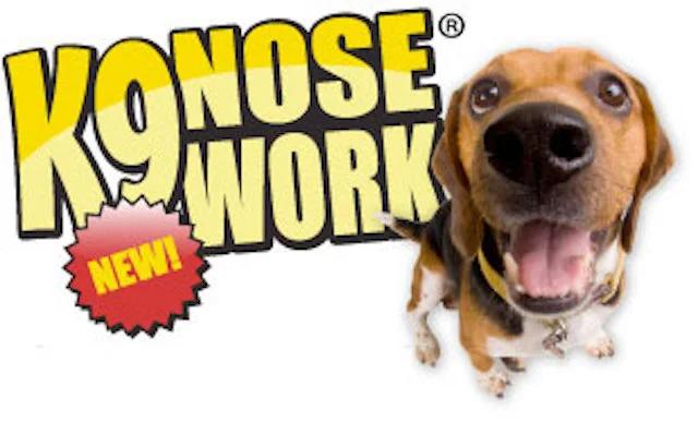 Bästa nosen - K9 Nose Work-grundkurs