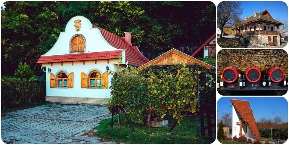 Adony ★ Sváb-rác gasztrokulturális élménynap