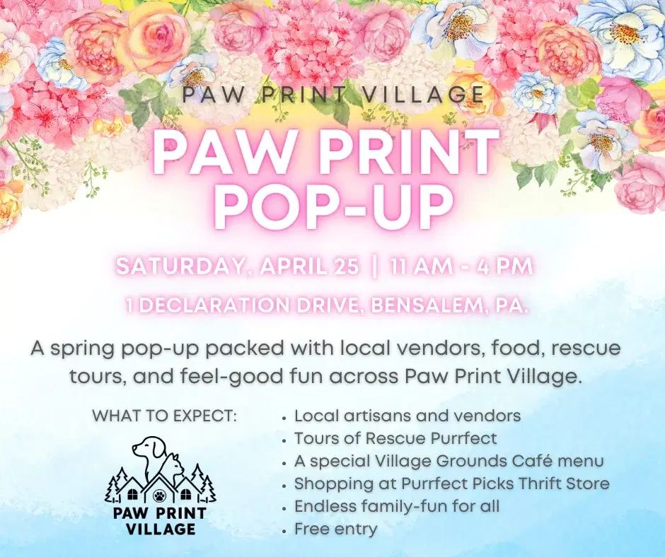 Paw Print Pop-Up!