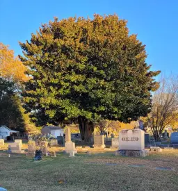 Earth Day at Parsons Cemetery