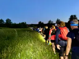 Night Trail Run Sommar