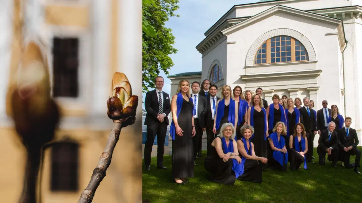 Valborgsmässokonsert