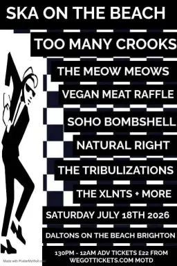 Ska On The Beach Festival- Too Many Crooks, The Meow Meows and 7 more