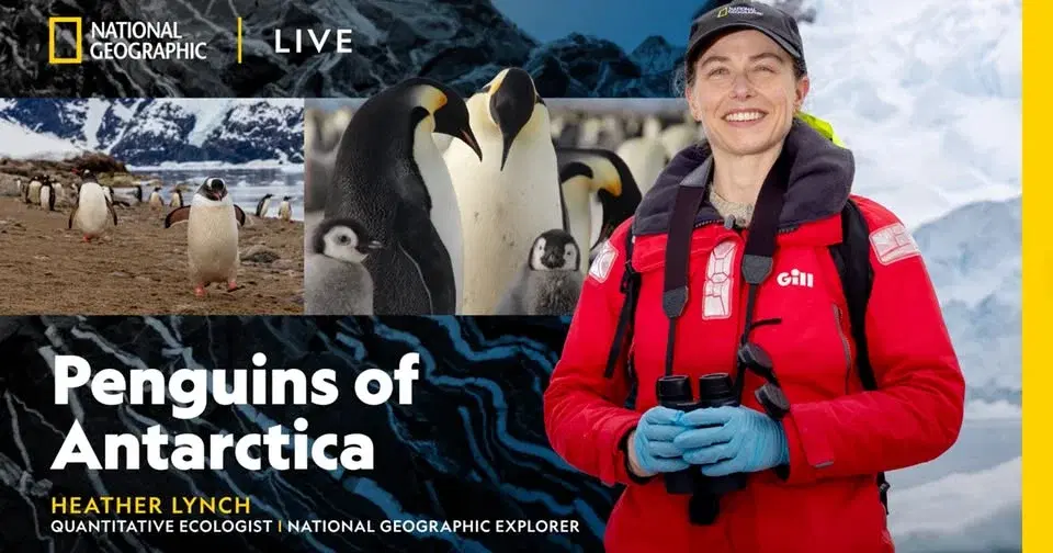 National Geographic Live: Penguins of Antarctica with Heather Lynch