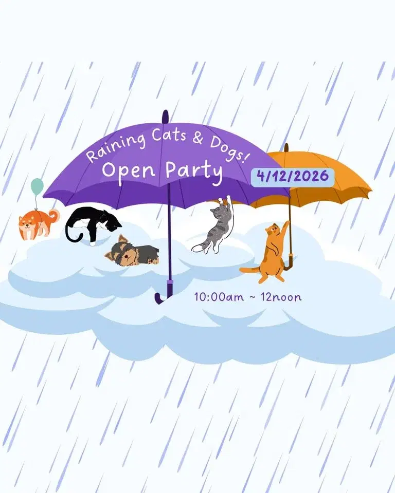 ☔️Raining Cats🐈🐈⬛ & Dogs🐩 🐕 OPEN Party