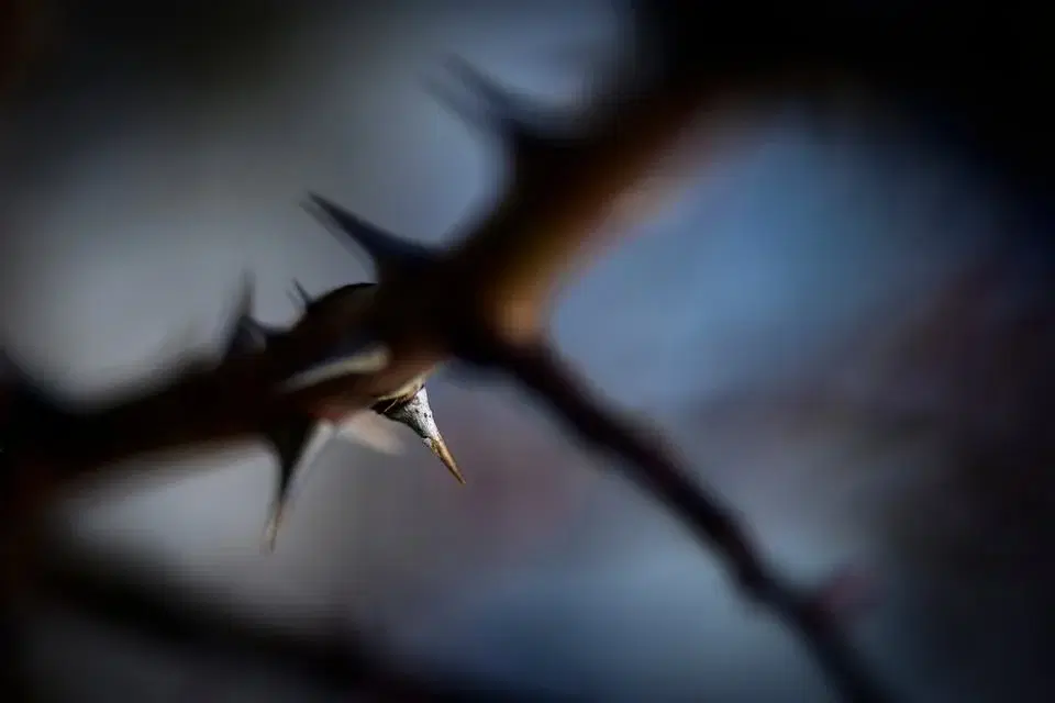 Johannespassionen kommer nära